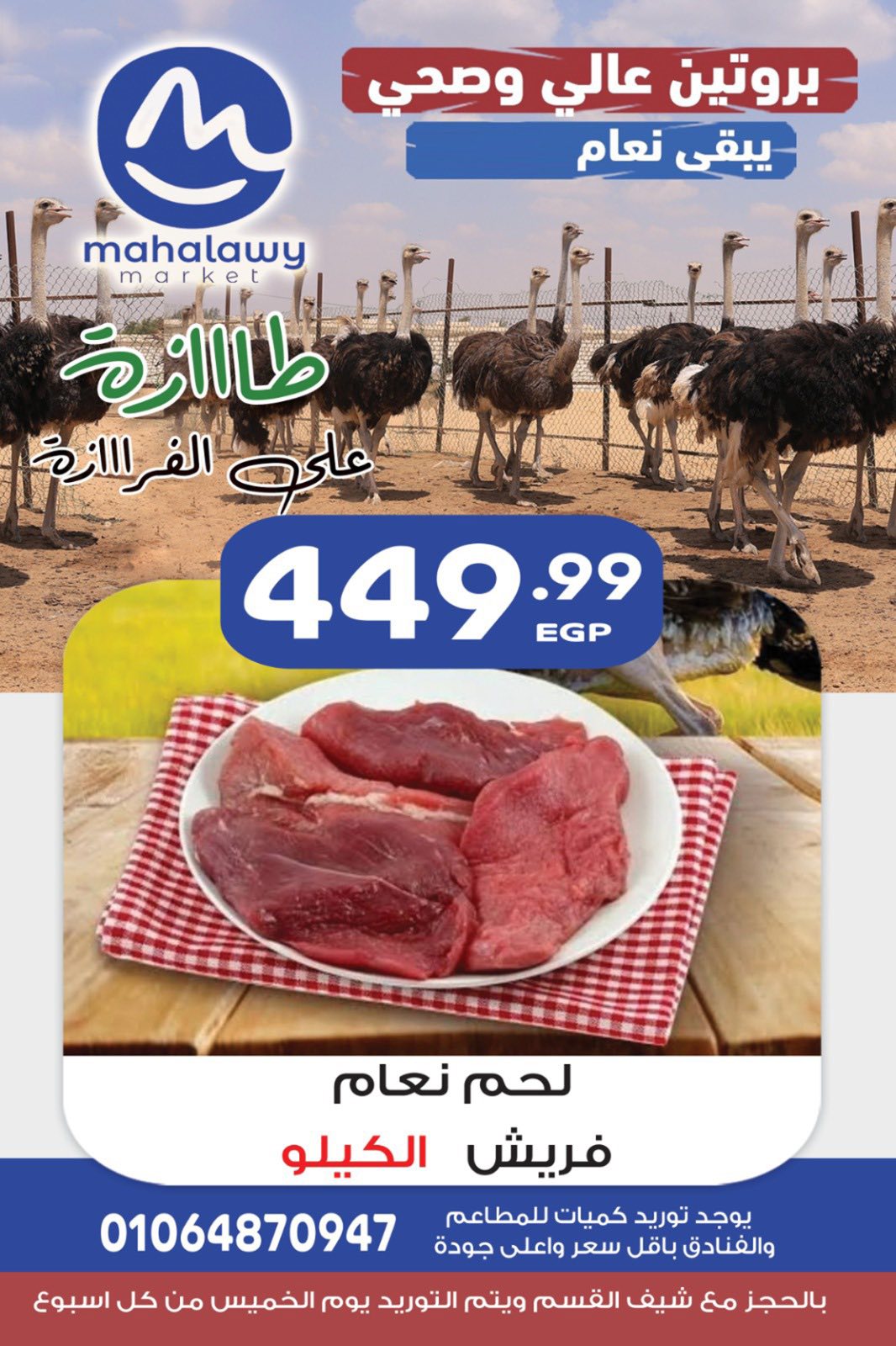 el-mahallawy-sons offers from 16nov to 2nov 2025 عروض اولاد المحلاوى من 16 نوفمبر حتى 2 نوفمبر 2025 صفحة رقم 5